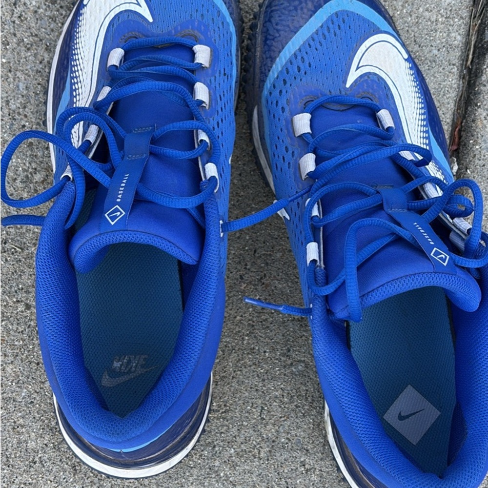 Nike Royal Blue Turf Baseball Shoes
